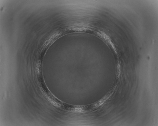 X0000083070114200702161831