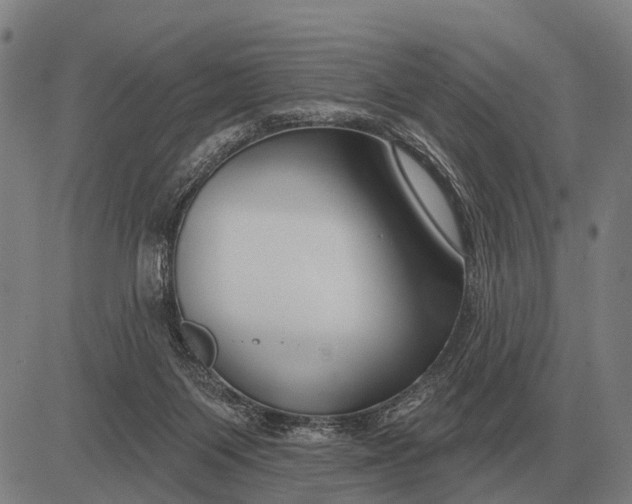 X0000083070119200702161831