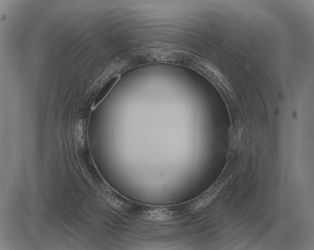 X0000083070121200702161831