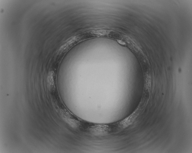 X0000083070128200702161831