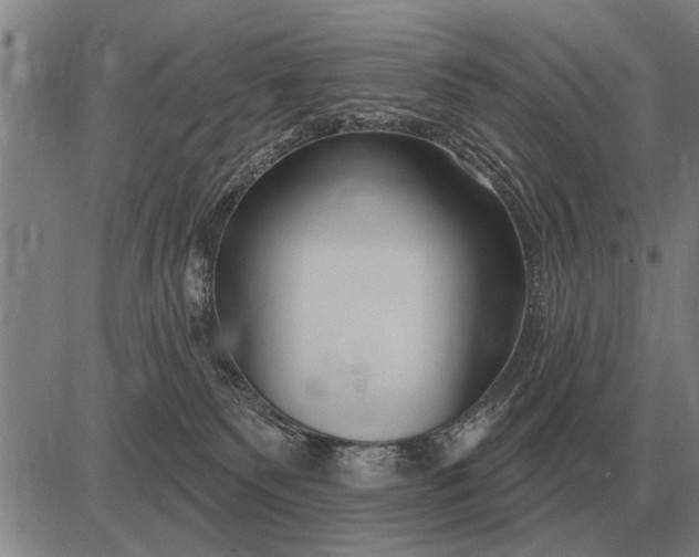 X0000083070135200702161831