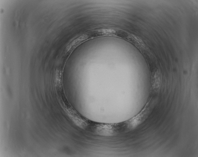 X0000083070140200702161831