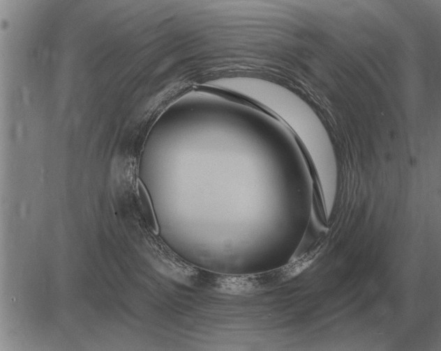 X0000083070141200702161831