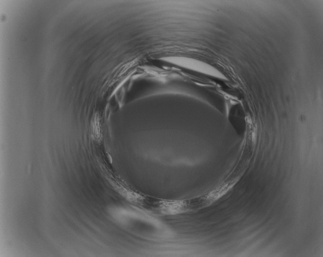 X0000083070143200702161831
