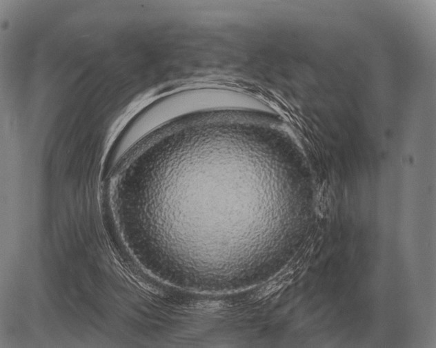 X0000083070152200702161830