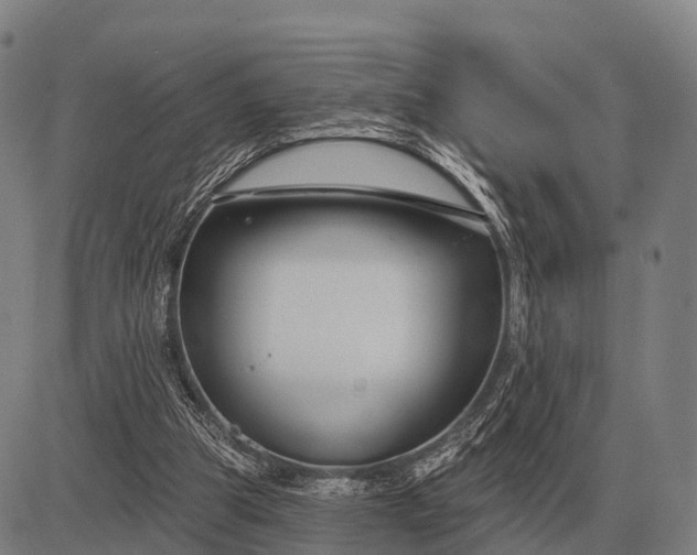 X0000083070153200702161830
