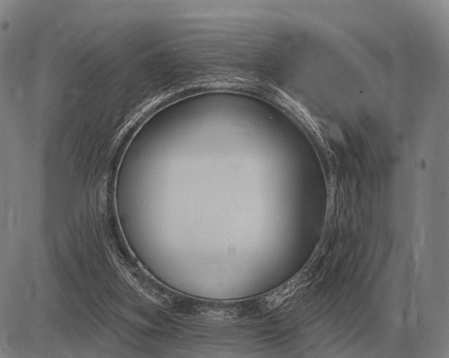 X0000083070155200702161830