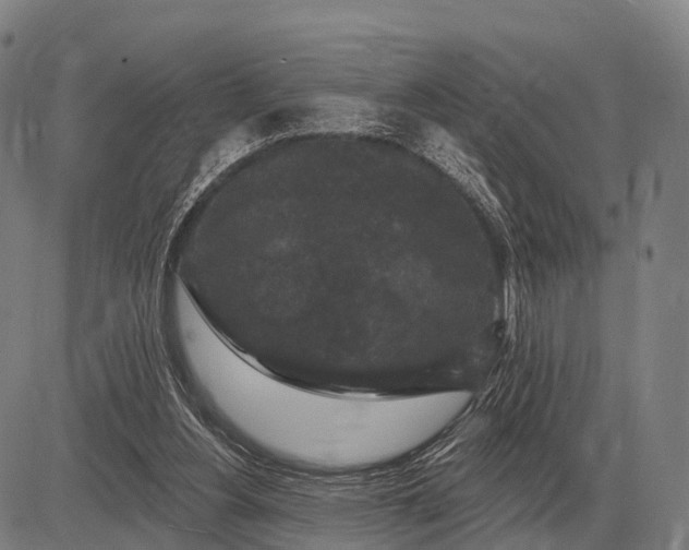 X0000083070156200702161830