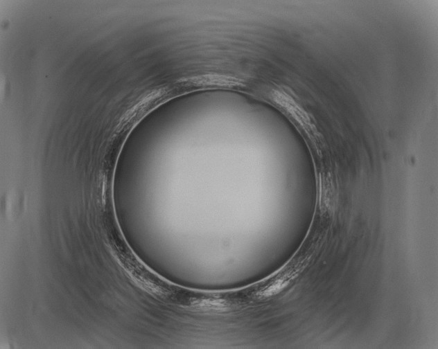 X0000083070157200702161830