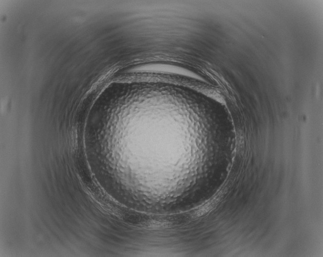 X0000083070158200702161830