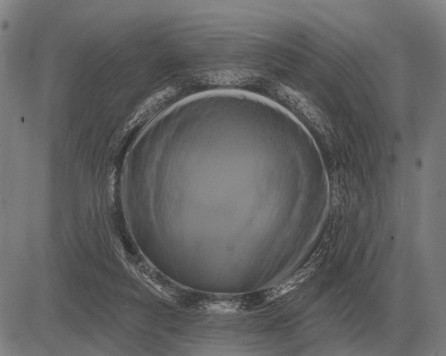 X0000083070163200702161830