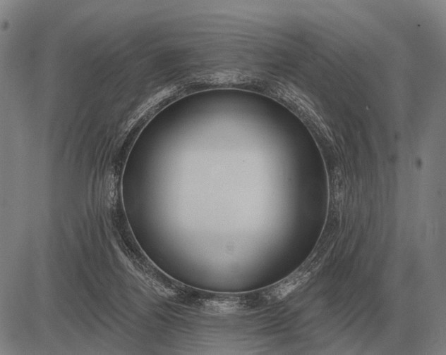 X0000083070164200702161830