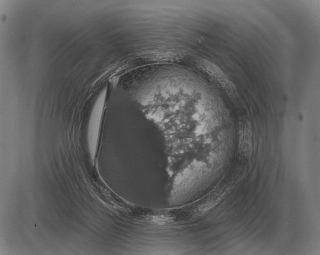 X0000083070165200702161830