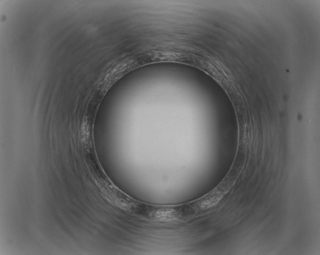 X0000083070173200702161830