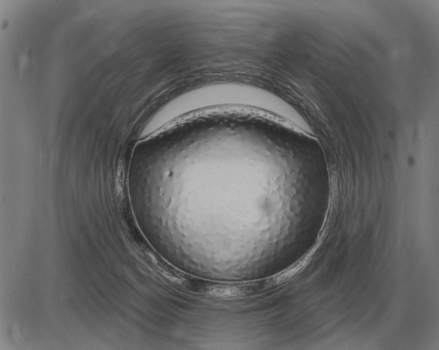 X0000083070174200702161830
