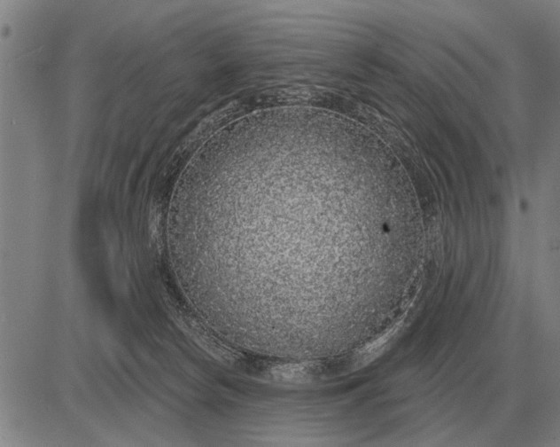 X0000083070178200702161831