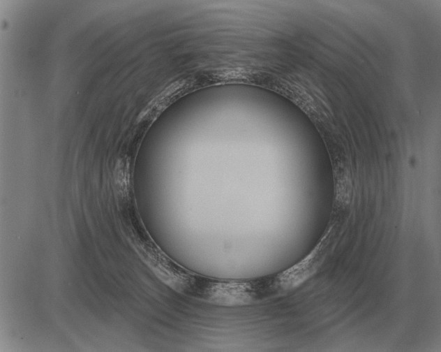 X0000083070179200702161831