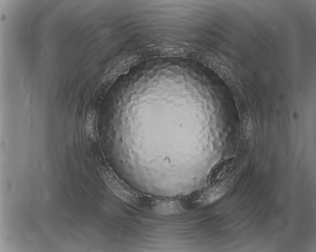 X0000083070185200702161831