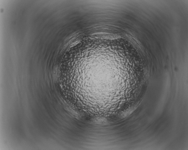 X0000083070189200702161831