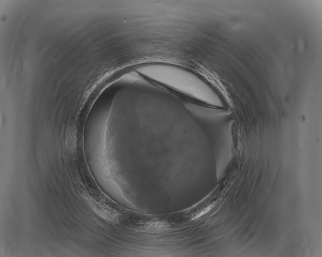 X0000083070204200702161830