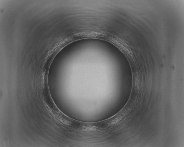 X0000083070206200702161830