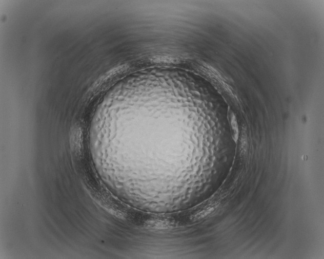 X0000083070211200702161830