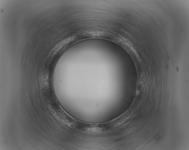 X0000083070212200702161830