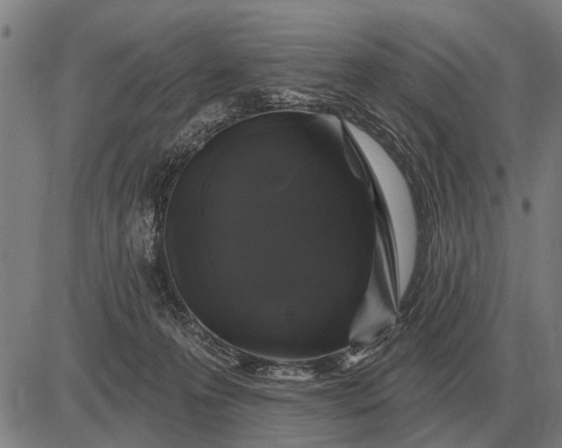 X0000083070223200702161830