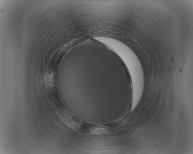 X0000083070224200702161829