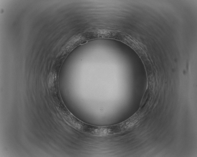 X0000083070225200702161829