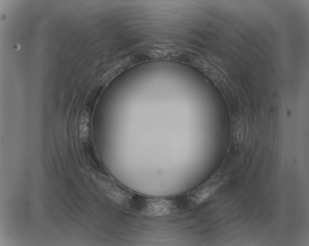 X0000083070226200702161829