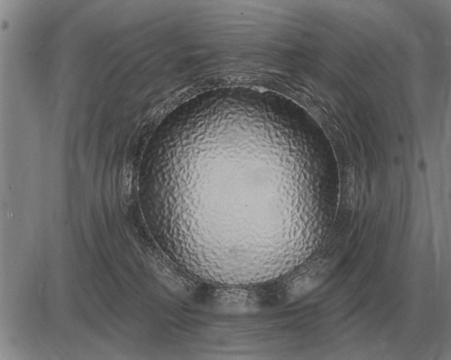 X0000083070230200702161829