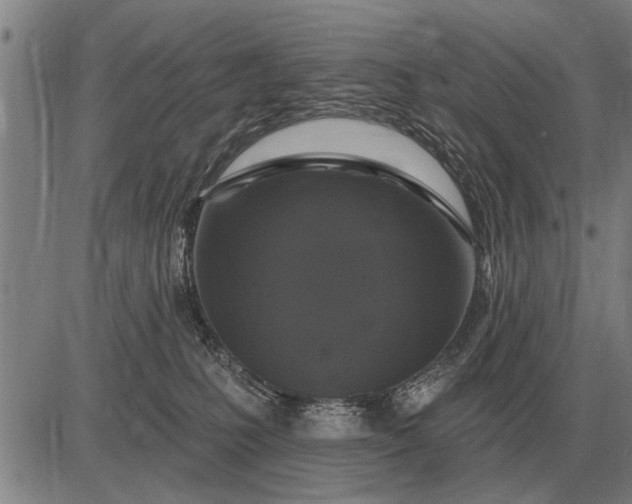 X0000083070231200702161829