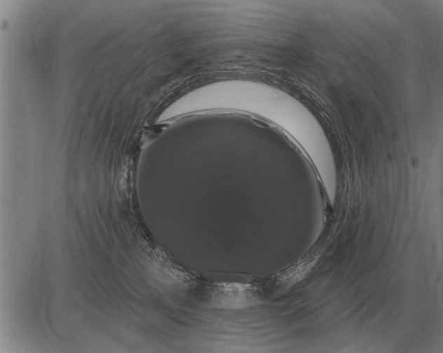 X0000083070233200702161829