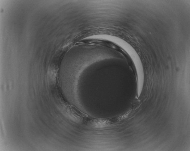 X0000083070235200702161829