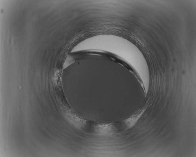 X0000083070237200702161829