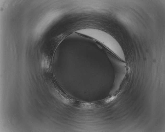 X0000083070239200702161829