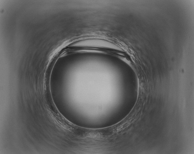 X0000083070248200702161829