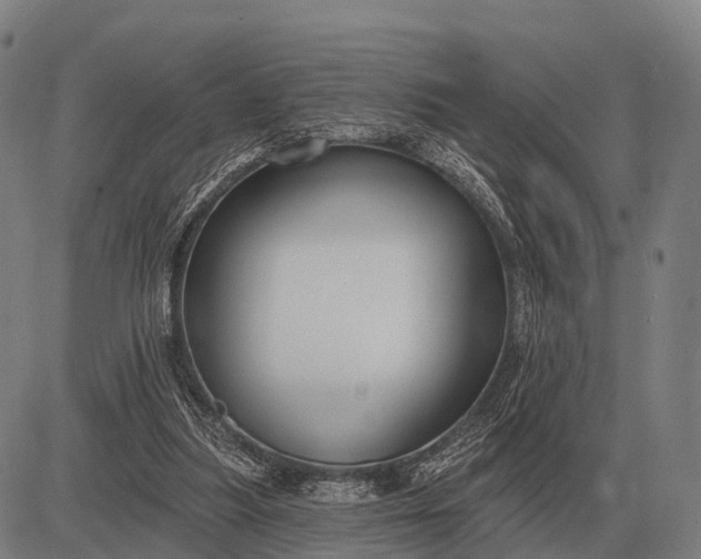 X0000083070251200702161829
