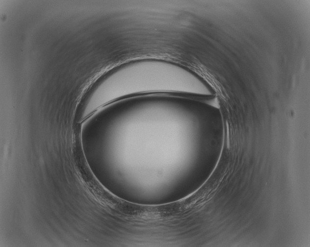 X0000083070252200702161829