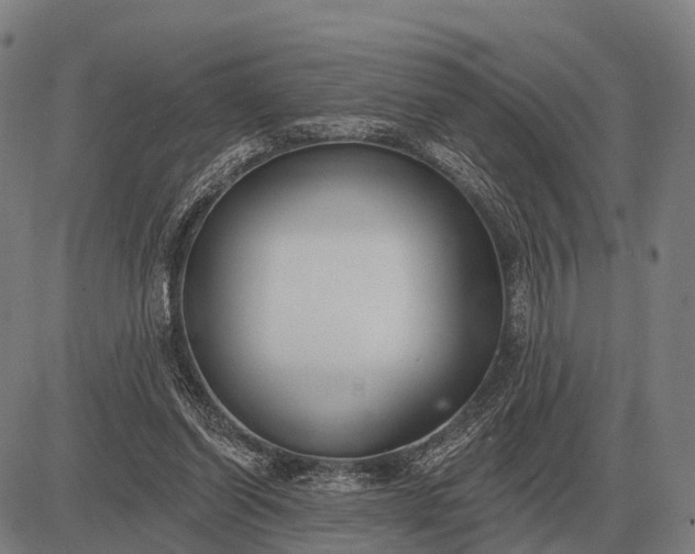 X0000083070254200702161829