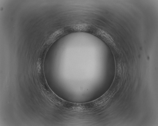 X0000083070259200702161829