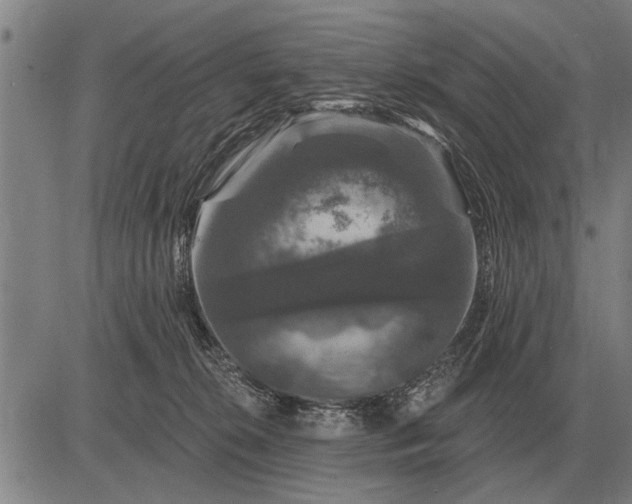 X0000083070276200702161829