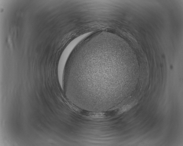 X0000083070288200702161829