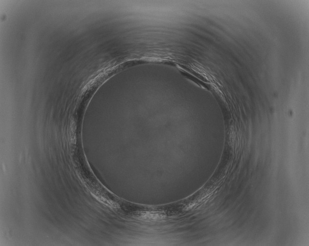 X0000083070303200702161828