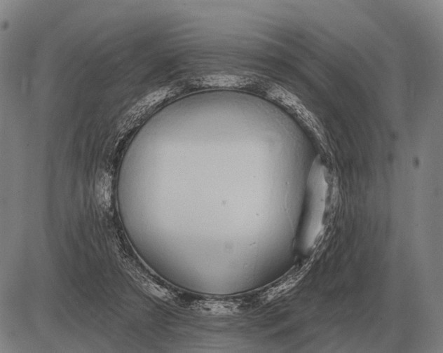 X0000083070305200702161828