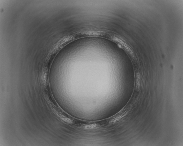 X0000083070309200702161828