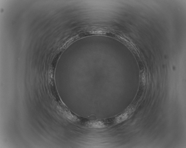 X0000083070322200702161828