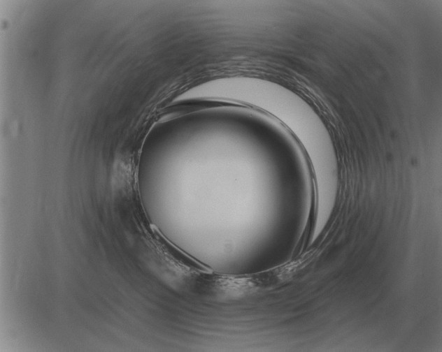 X0000083070333200702161828