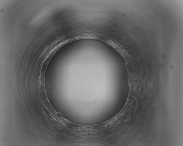 X0000083070338200702161827
